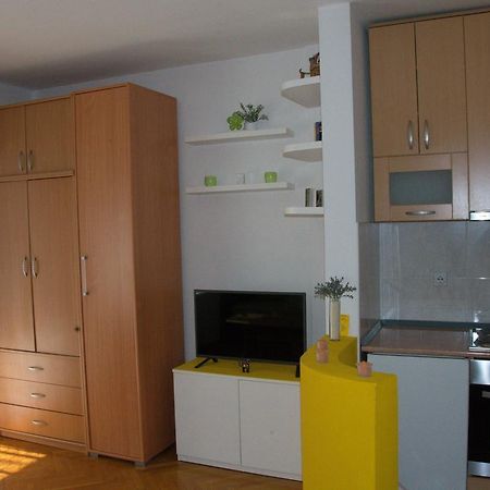 Studio Apartment In Novi Sad Center מראה חיצוני תמונה